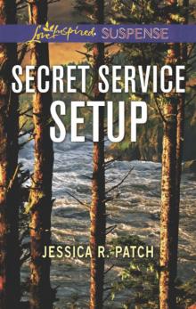 Secret Service Setup Read online