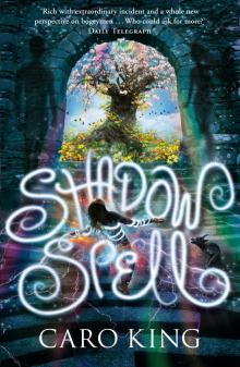 Shadow Spell Read online