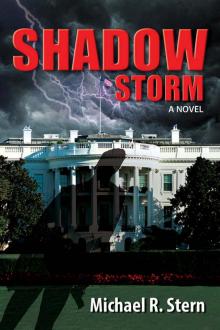 Shadow Storm (Quantum Touch Book 3) Read online