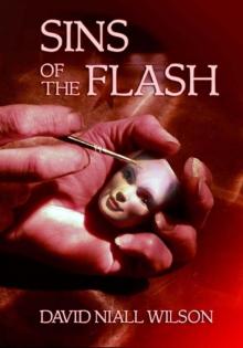 Sins of the Flash Read online