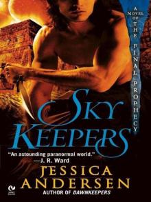 Skykeepers n-3 Read online