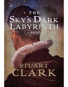 Sky's Dark Labyrinth Read online