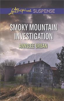 Smoky Mountain Investigation Read online