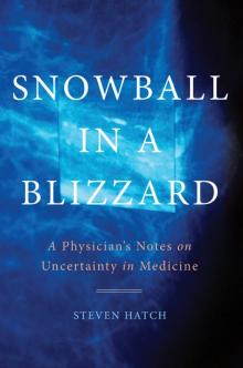 Snowball in a Blizzard Read online