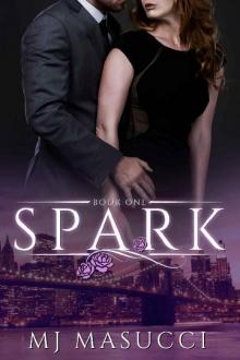 Spark: Book 1 (The Heat Series) Read online