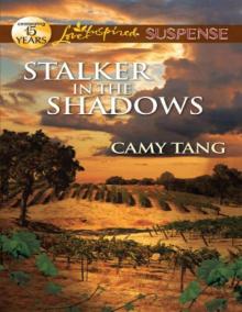 Stalker in the Shadows (Love Inspired Suspense) Read online