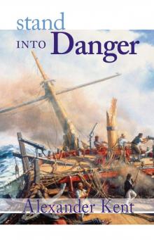 Stand Into Danger Read online