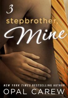 Stepbrother, Mine #3 Read online