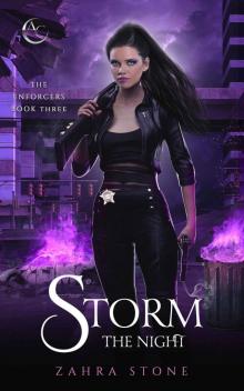 Storm the Night Read online