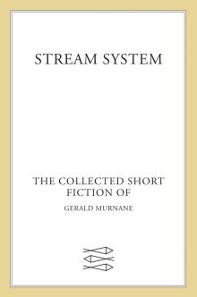 Stream System Read online