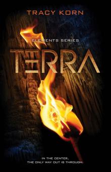 TERRA (The Elements Series Book 2) Read online