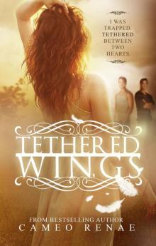 Tethered Wings (Hidden Wings Series) Read online