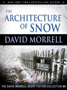 The Architecture of Snow Read online