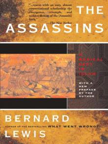 The Assassins: A Redical Sect in Islam Read online