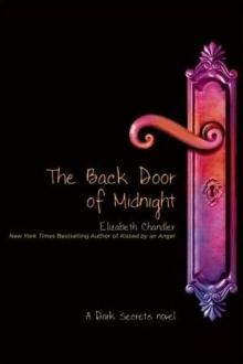 The Back Door of Midnight ds-5 Read online