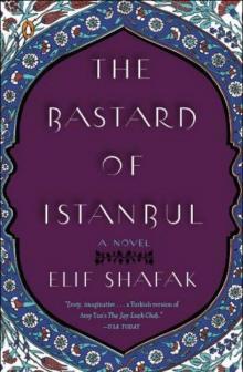 The Bastard of Istanbul Read online