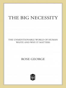 The Big Necessity Read online