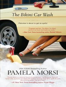 The Bikini Car Wash Read online