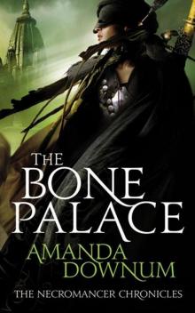 The Bone Palace tnc-2 Read online