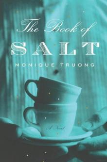 The Book of Salt Read online