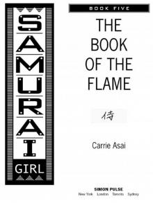 The Book of the Flame Read online