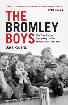 The Bromley Boys Read online