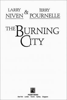 The Burning City Read online