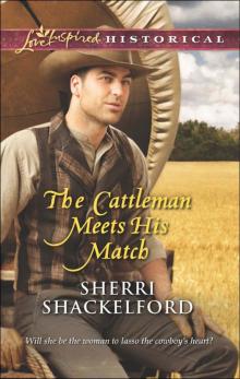 The Cattleman Meets His Match Read online