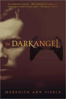 The Darkangel Read online