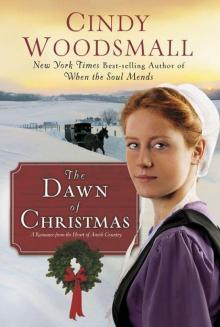 The Dawn of Christmas: A Romance from the Heart of Amish Country Read online