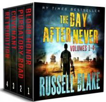 The Day After Never Bundle (First 4 novels)