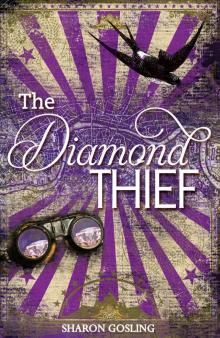 The Diamond Thief Read online