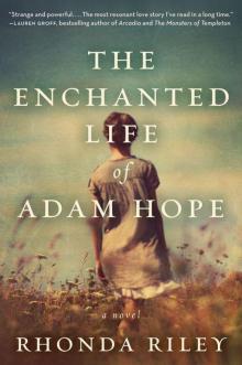 The Enchanted Life of Adam Hope Read online