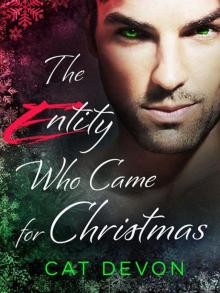 The Entity Who Came for Christmas (entity series)