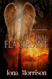 The Final Flashpoint Read online