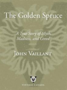 The Golden Spruce Read online