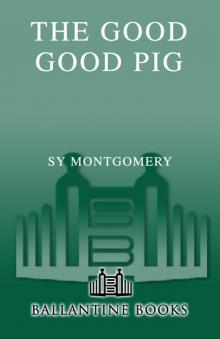 The Good Good Pig Read online