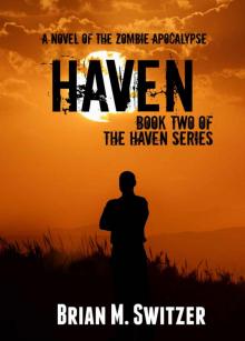 The Haven Series (Book 2): Haven Read online