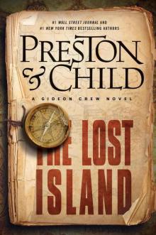 The Lost Island Read online
