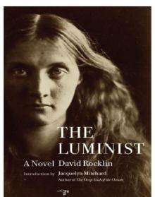 The Luminist Read online