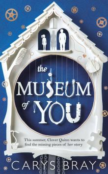 The Museum of You Read online