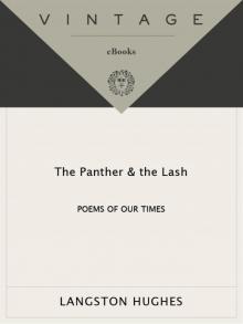The Panther and the Lash Read online