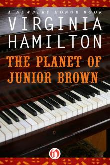 The Planet of Junior Brown Read online