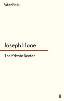 The Private Sector (A Peter Marlow spy thriller) Read online