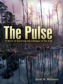 The Pulse Read online