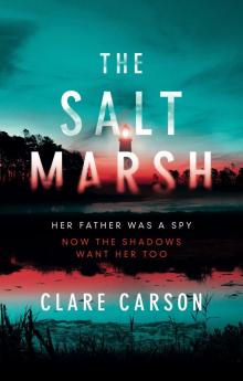 The Salt Marsh Read online