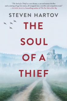 The Soul of a Thief Read online