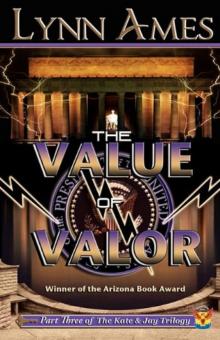 The Value Of Valor - KJ3 Read online
