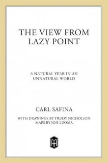 The View from Lazy Point: A Natural Year in an Unnatural World Read online
