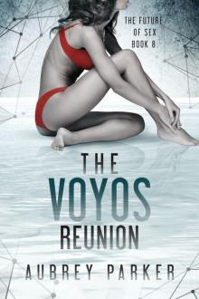 The Voyos Reunion Read online